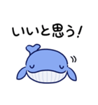 毎日使えるくじらスタンプ（おっとり）（個別スタンプ：28）