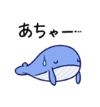 毎日使えるくじらスタンプ（おっとり）（個別スタンプ：31）