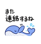 毎日使えるくじらスタンプ（おっとり）（個別スタンプ：40）