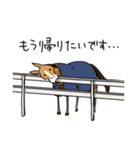 気分低下中な馬（個別スタンプ：5）