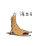 気分低下中な馬（個別スタンプ：29）