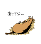 気分低下中な馬（個別スタンプ：33）