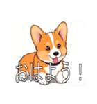 コーギー（ペンブローク）（個別スタンプ：1）