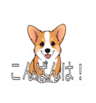コーギー（ペンブローク）（個別スタンプ：3）