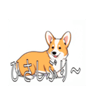 コーギー（ペンブローク）（個別スタンプ：9）