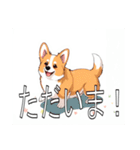 コーギー（ペンブローク）（個別スタンプ：12）