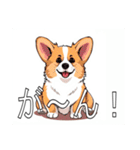 コーギー（ペンブローク）（個別スタンプ：26）