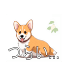 コーギー（ペンブローク）（個別スタンプ：33）