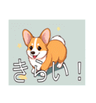 コーギー（ペンブローク）（個別スタンプ：38）
