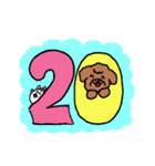 トイプーちゃん数字と曜日スタンプ（個別スタンプ：20）