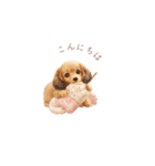 ミニチュアダックス×スイーツ♡（個別スタンプ：3）