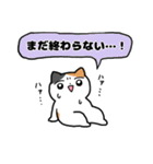 家族へ連絡する！ネコ！（個別スタンプ：16）