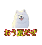 犬味 暑苦しい（個別スタンプ：2）