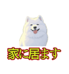 犬味 暑苦しい（個別スタンプ：4）