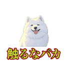 犬味 暑苦しい（個別スタンプ：7）