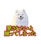 犬味 暑苦しい（個別スタンプ：14）