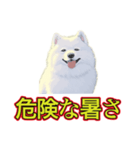 犬味 暑苦しい（個別スタンプ：16）