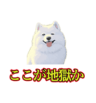 犬味 暑苦しい（個別スタンプ：17）