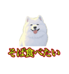 犬味 暑苦しい（個別スタンプ：22）