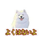 犬味 暑苦しい（個別スタンプ：23）