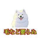 犬味 暑苦しい（個別スタンプ：26）