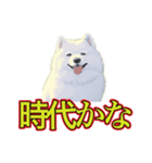 犬味 暑苦しい（個別スタンプ：28）