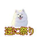犬味 暑苦しい（個別スタンプ：30）