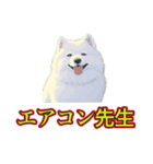 犬味 暑苦しい（個別スタンプ：31）