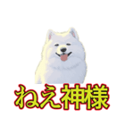 犬味 暑苦しい（個別スタンプ：32）