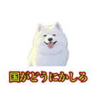 犬味 暑苦しい（個別スタンプ：33）