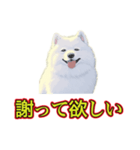 犬味 暑苦しい（個別スタンプ：34）