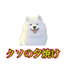 犬味 暑苦しい（個別スタンプ：37）