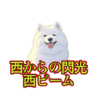 犬味 暑苦しい（個別スタンプ：38）