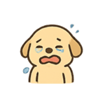 わんぱく子犬の日常（個別スタンプ：14）