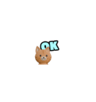 ペラペラねこりす（個別スタンプ：1）