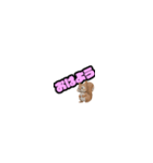 ペラペラねこりす（個別スタンプ：8）