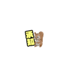 ペラペラねこりす（個別スタンプ：18）