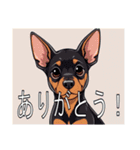 ジャーマンピンシャーがいっぱい（個別スタンプ：5）