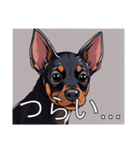 ジャーマンピンシャーがいっぱい（個別スタンプ：31）