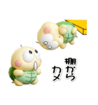 ただの小さなカメ(3D)少し不思議なカメ語録（個別スタンプ：14）