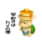 ただの小さなカメ(3D)少し不思議なカメ語録（個別スタンプ：31）