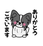 ずっと使えるワンコスタンプ♪黒パピヨン犬（個別スタンプ：1）