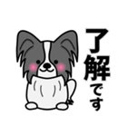 ずっと使えるワンコスタンプ♪黒パピヨン犬（個別スタンプ：3）