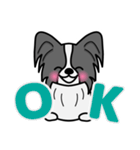ずっと使えるワンコスタンプ♪黒パピヨン犬（個別スタンプ：4）