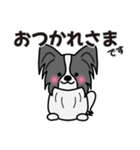 ずっと使えるワンコスタンプ♪黒パピヨン犬（個別スタンプ：5）