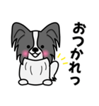 ずっと使えるワンコスタンプ♪黒パピヨン犬（個別スタンプ：6）