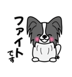 ずっと使えるワンコスタンプ♪黒パピヨン犬（個別スタンプ：7）