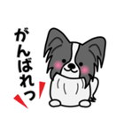ずっと使えるワンコスタンプ♪黒パピヨン犬（個別スタンプ：8）