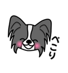 ずっと使えるワンコスタンプ♪黒パピヨン犬（個別スタンプ：9）