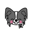 ずっと使えるワンコスタンプ♪黒パピヨン犬（個別スタンプ：10）